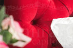 AvangArt_Barry-160_11 AvangArt_Barry-160_11